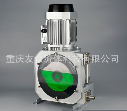 武汉工业软管泵YD10R